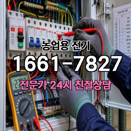 게시판 이미지 16386