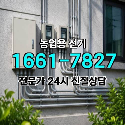 게시판 이미지 16883