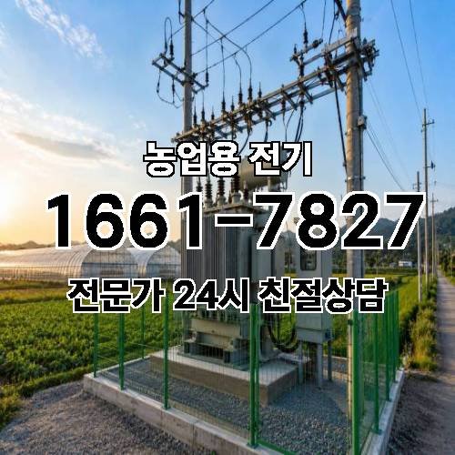게시판 이미지 16901
