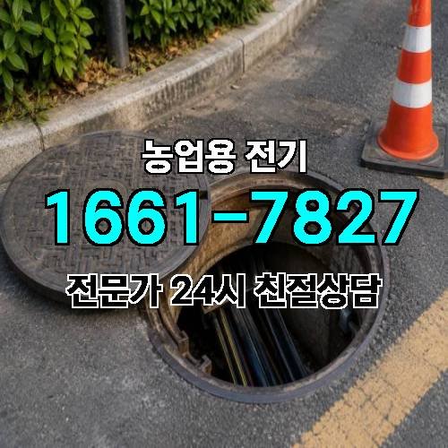 게시판 이미지 17151