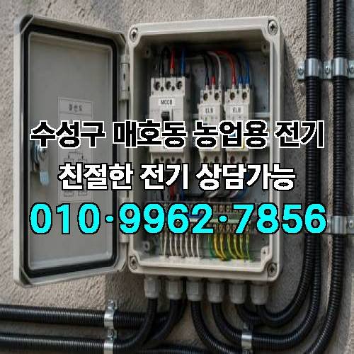 게시판 이미지 17211