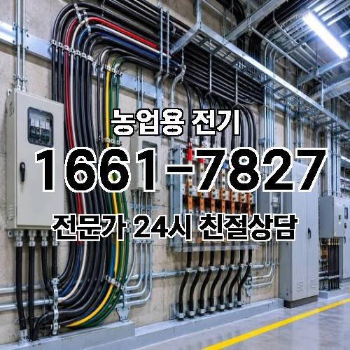 게시판 이미지 17382