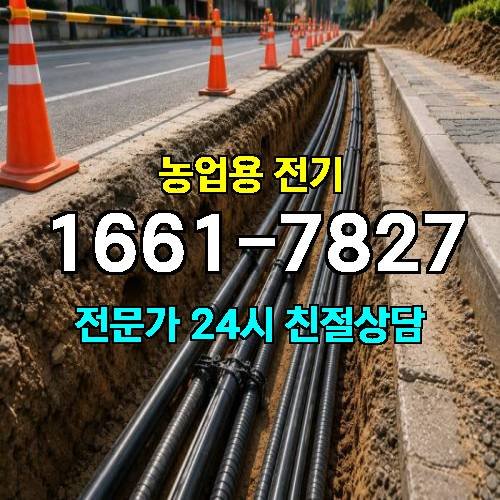 게시판 이미지 17411