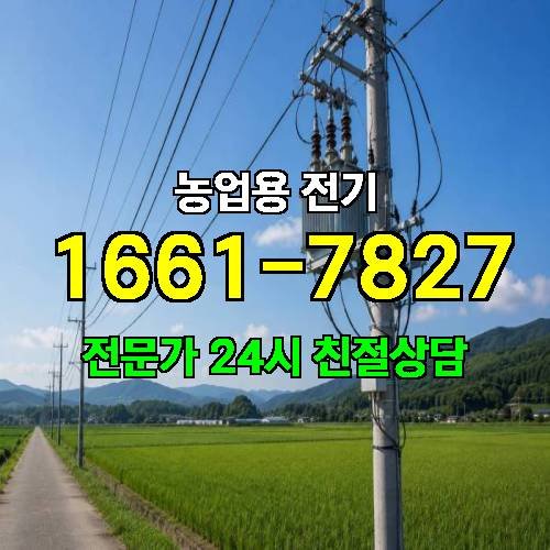 게시판 이미지 17771