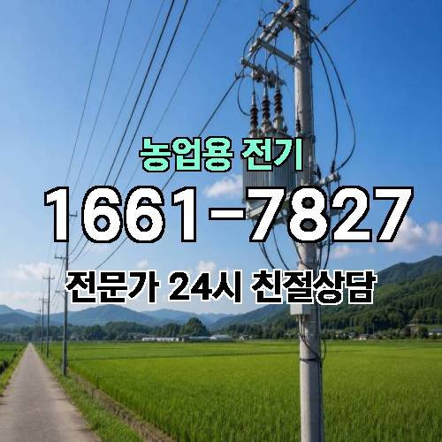 게시판 이미지 18081