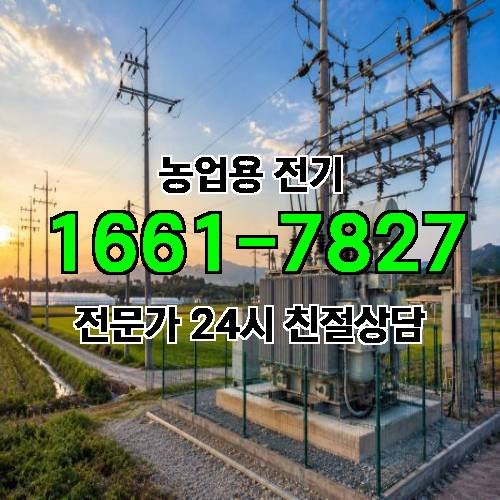 게시판 이미지 18113