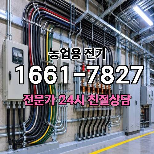 게시판 이미지 18521