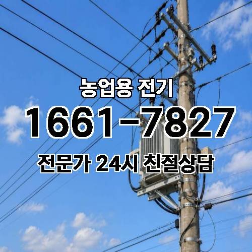 게시판 이미지 19107