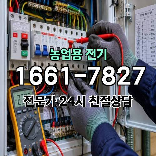 게시판 이미지 19459