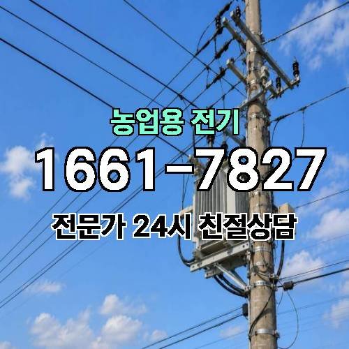 게시판 이미지 19506
