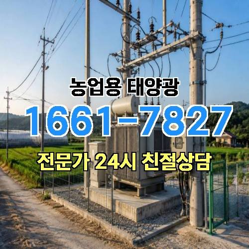 게시판 이미지 1116