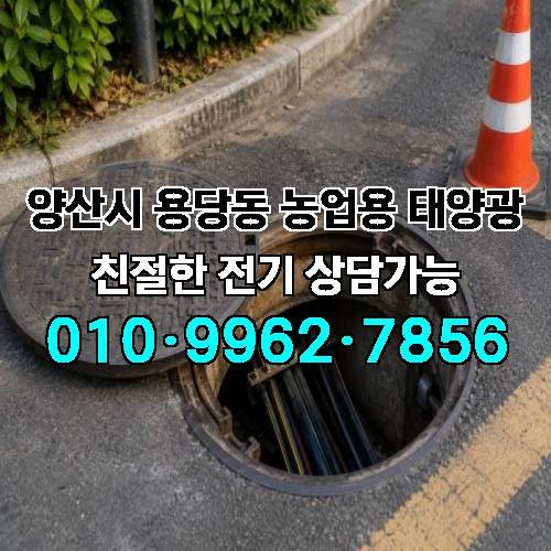 게시판 이미지 1295