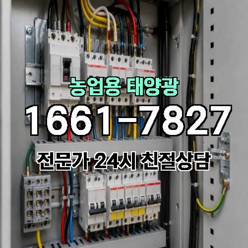 게시판 이미지 1333