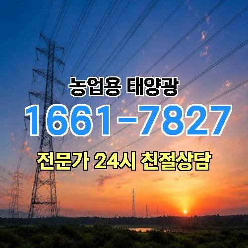 게시판 이미지 1465