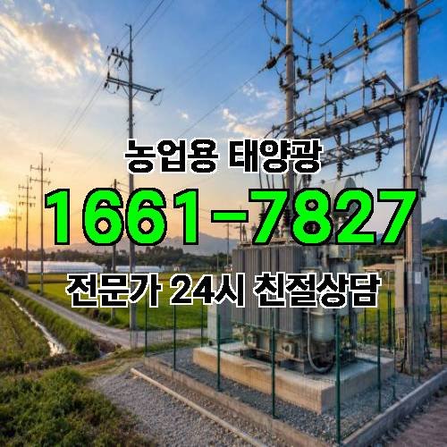 게시판 이미지 1554