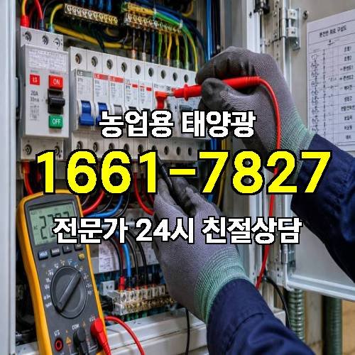 게시판 이미지 1595