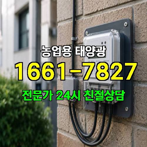 게시판 이미지 1608