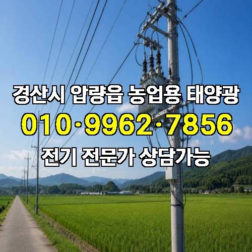 게시판 이미지 1671