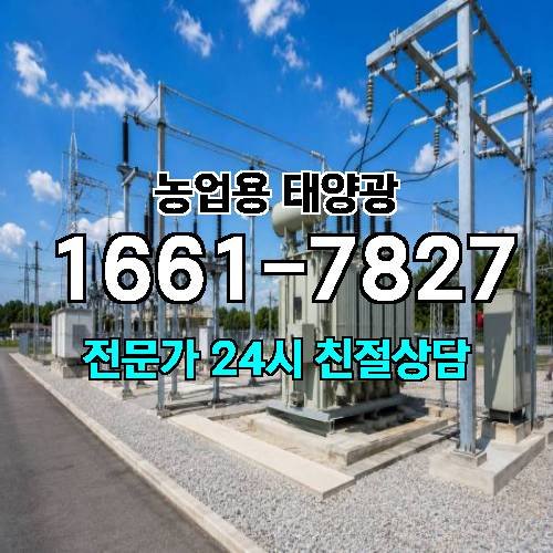 게시판 이미지 1762