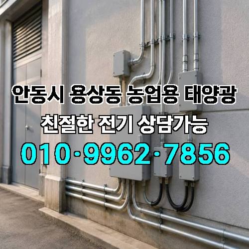 게시판 이미지 1968