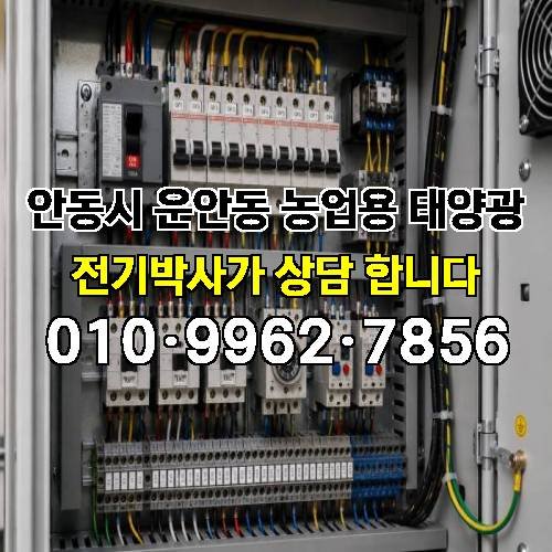 게시판 이미지 1969