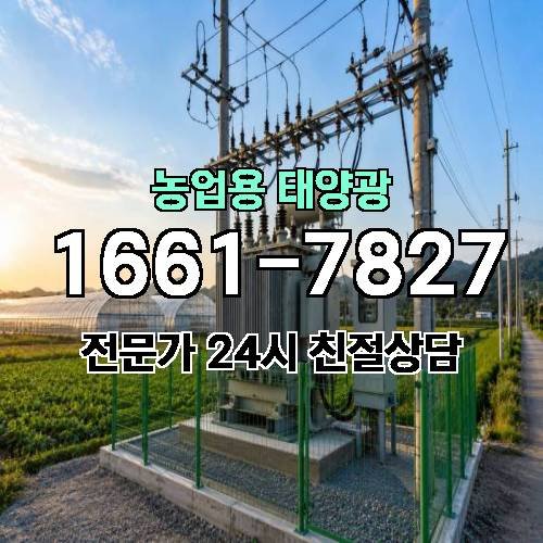 게시판 이미지 2112