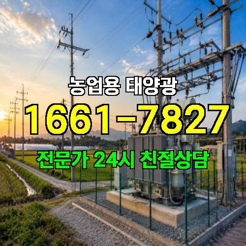 게시판 이미지 2257