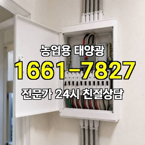 게시판 이미지 2267