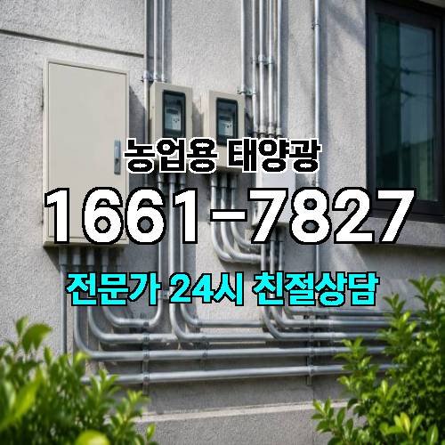 게시판 이미지 2337