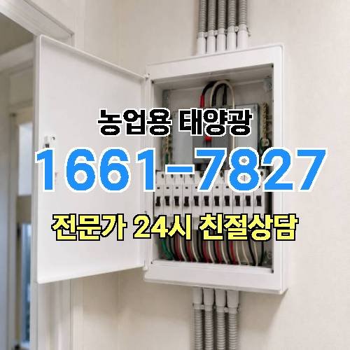 게시판 이미지 245