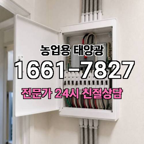 게시판 이미지 2565