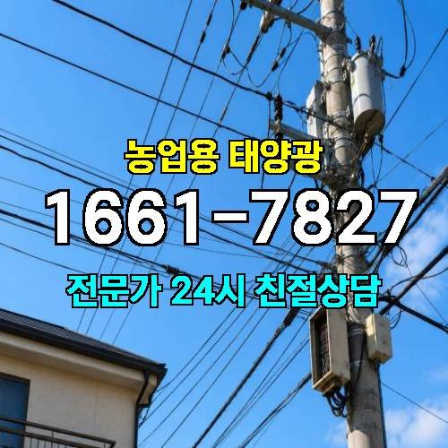 게시판 이미지 259