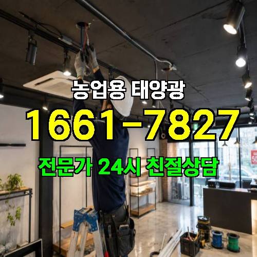게시판 이미지 261