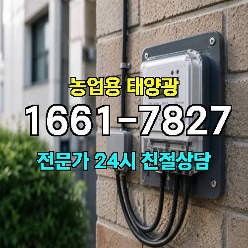 게시판 이미지 266