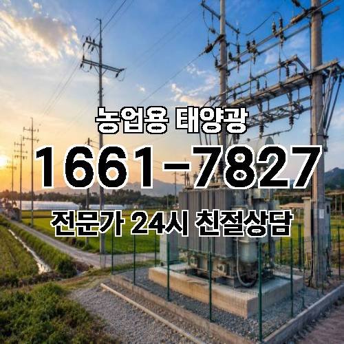 게시판 이미지 267