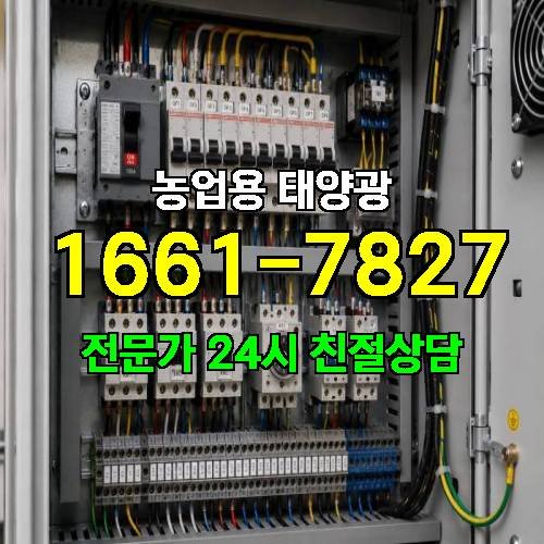 게시판 이미지 268