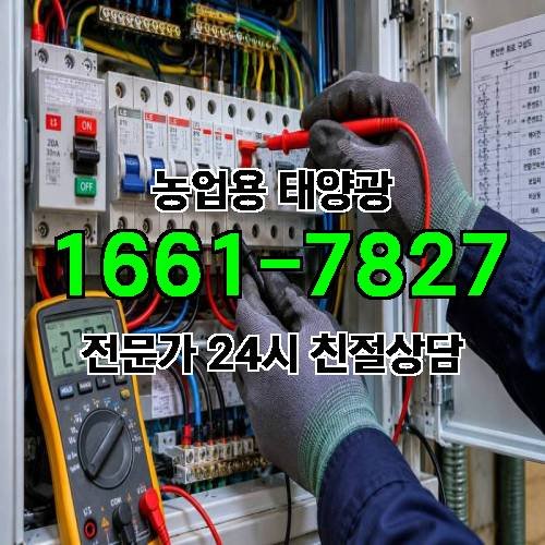 게시판 이미지 271