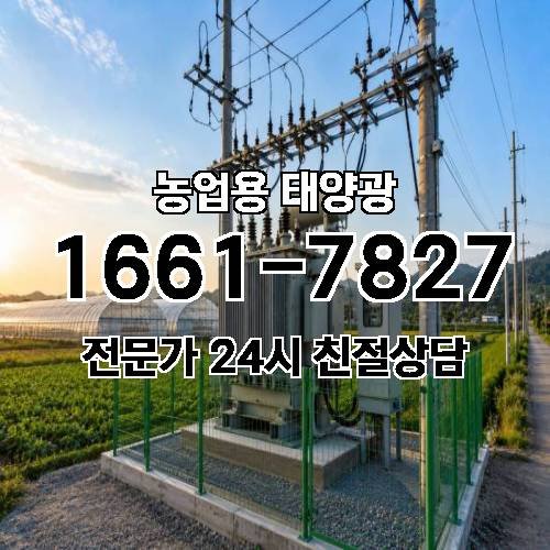 게시판 이미지 272
