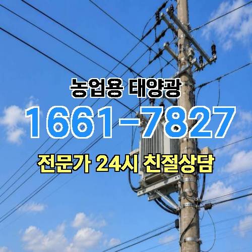 게시판 이미지 2813
