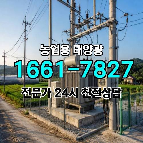 게시판 이미지 2907