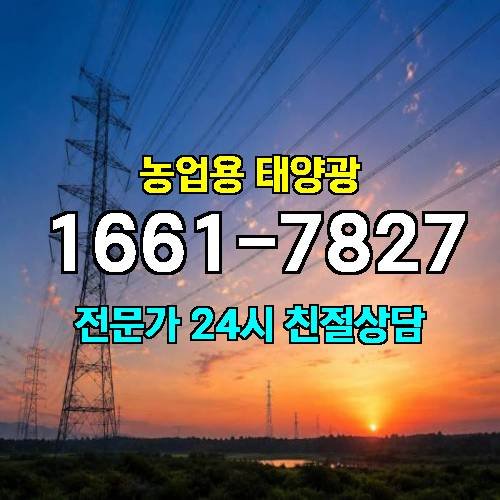 게시판 이미지 3077
