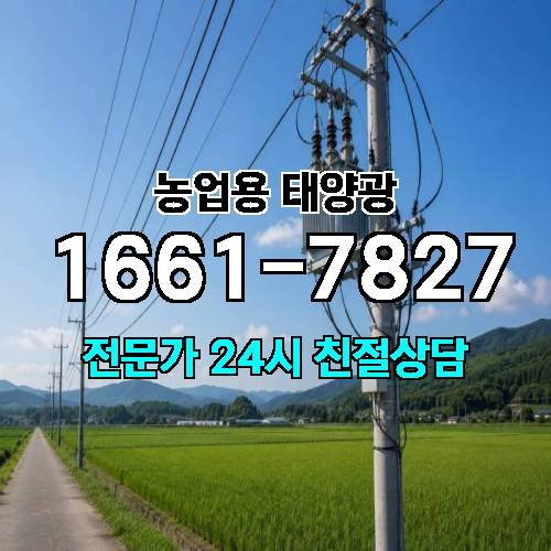 게시판 이미지 3084