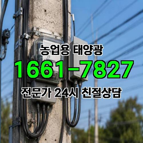 게시판 이미지 3399