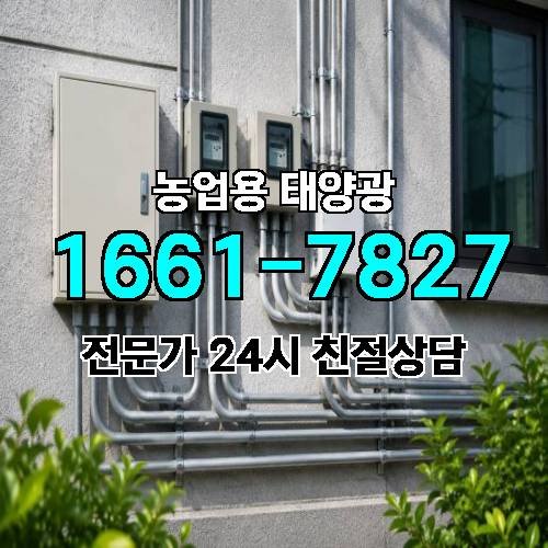 게시판 이미지 3543