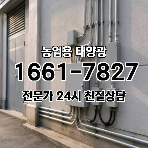 게시판 이미지 3566