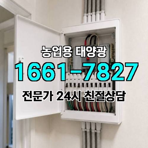 게시판 이미지 378