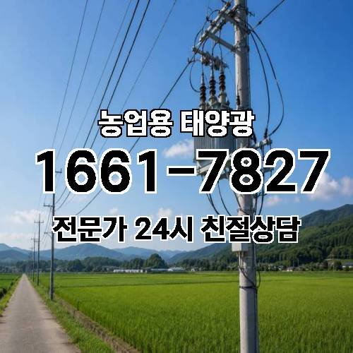 게시판 이미지 3971
