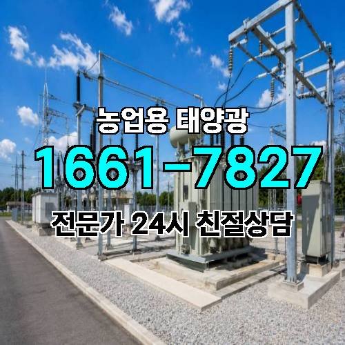 게시판 이미지 4200