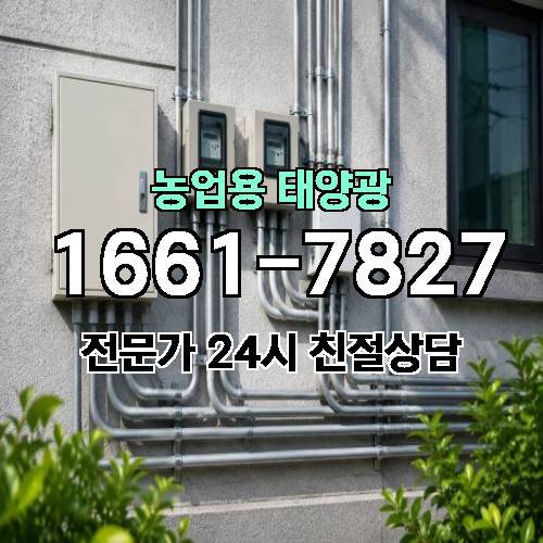 게시판 이미지 4228