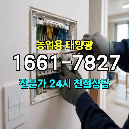 게시판 이미지 4246